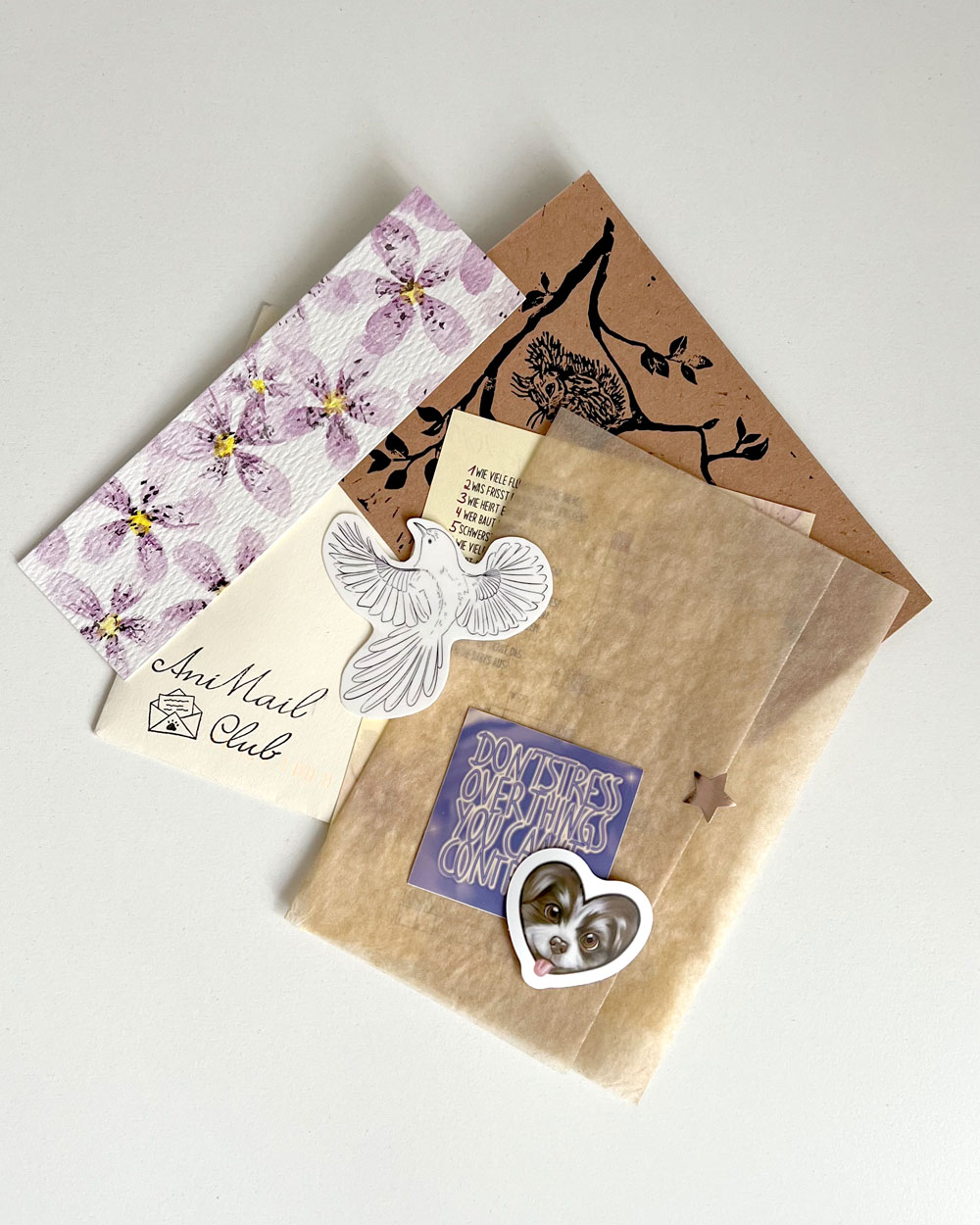 AniMail – für Tattoo-Fans mit Herz für Tiere | Abo